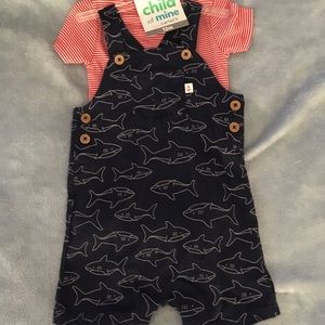 Carter’s overalls and onesie 12m